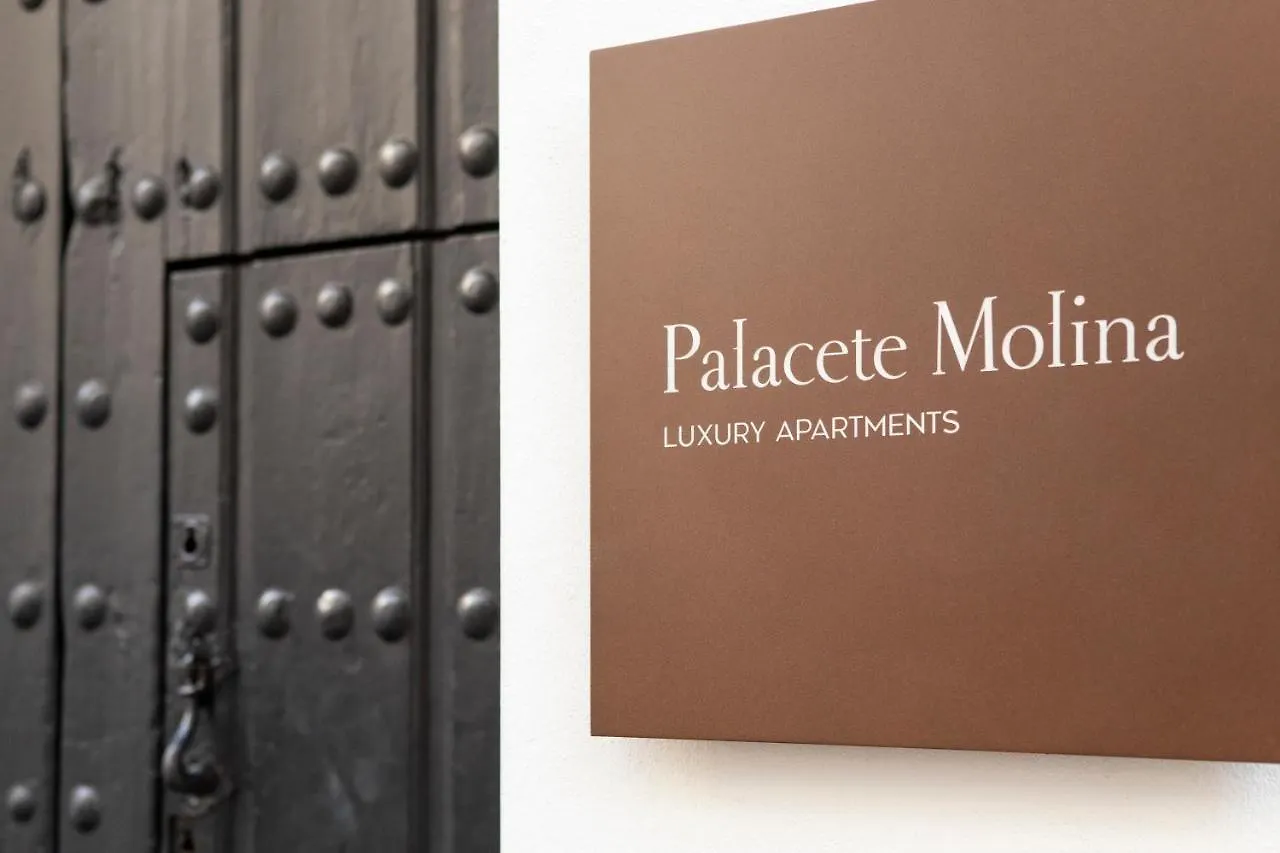 Apartment Palacete Molina Seville